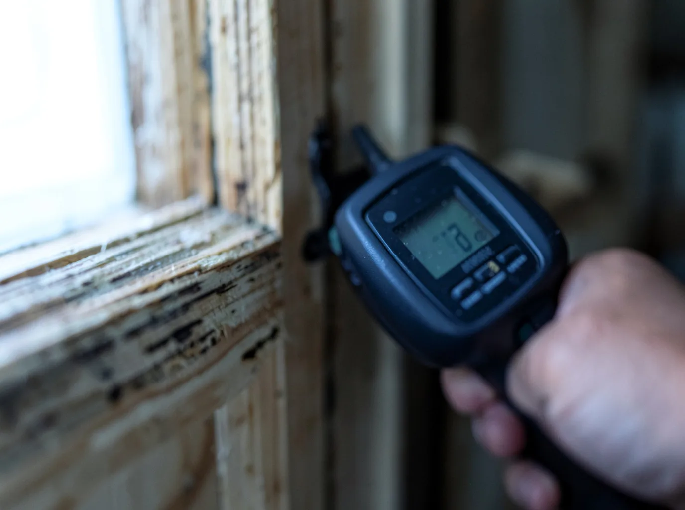 Moisture Inspection And Documentation in Dairy, OR